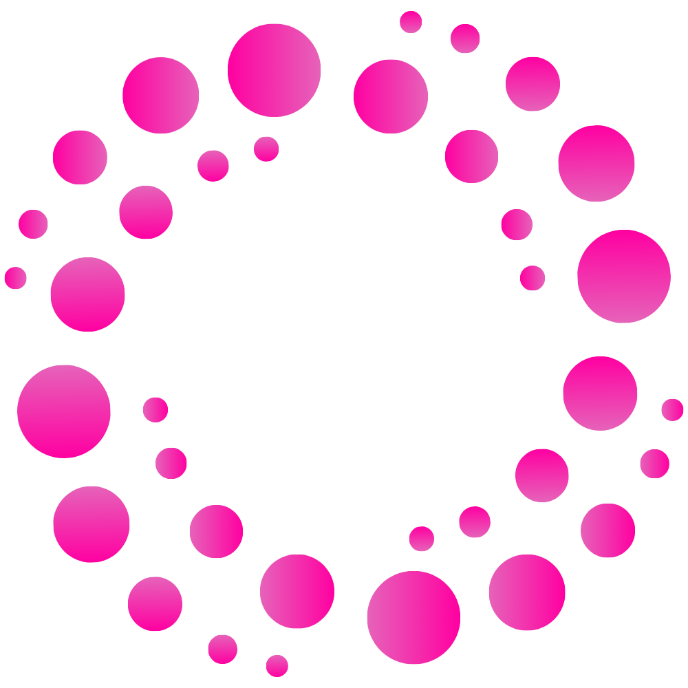 AI for API Privacy图标