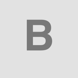 Bidlytics图标