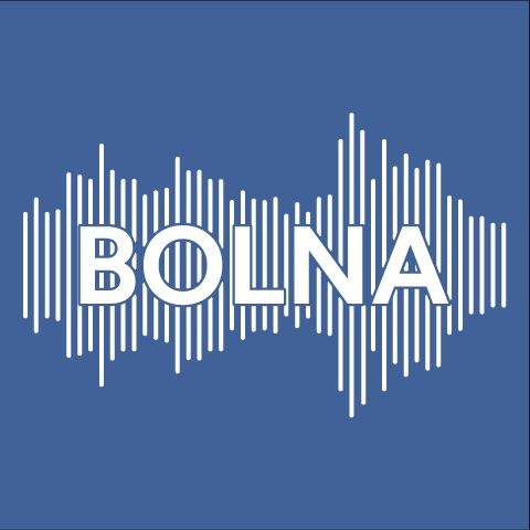Bolna图标