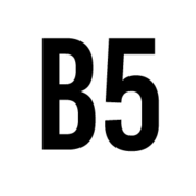 Branding 5图标