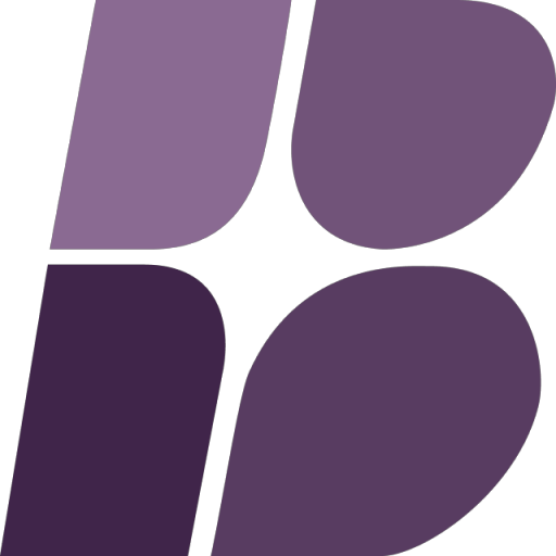 BrandSnag图标