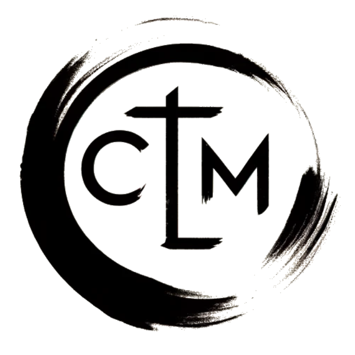Chinese Tiny LLM图标