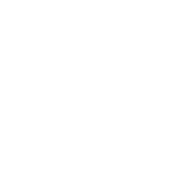 Clone Incorporated图标