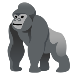 Gorilla Terminal图标