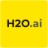 H2O Driverless AI图标