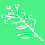 Wattle图标
