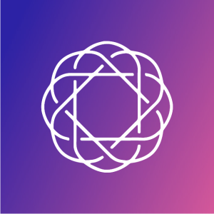 Insidr.ai图标