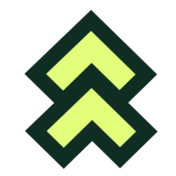 Leaderr图标