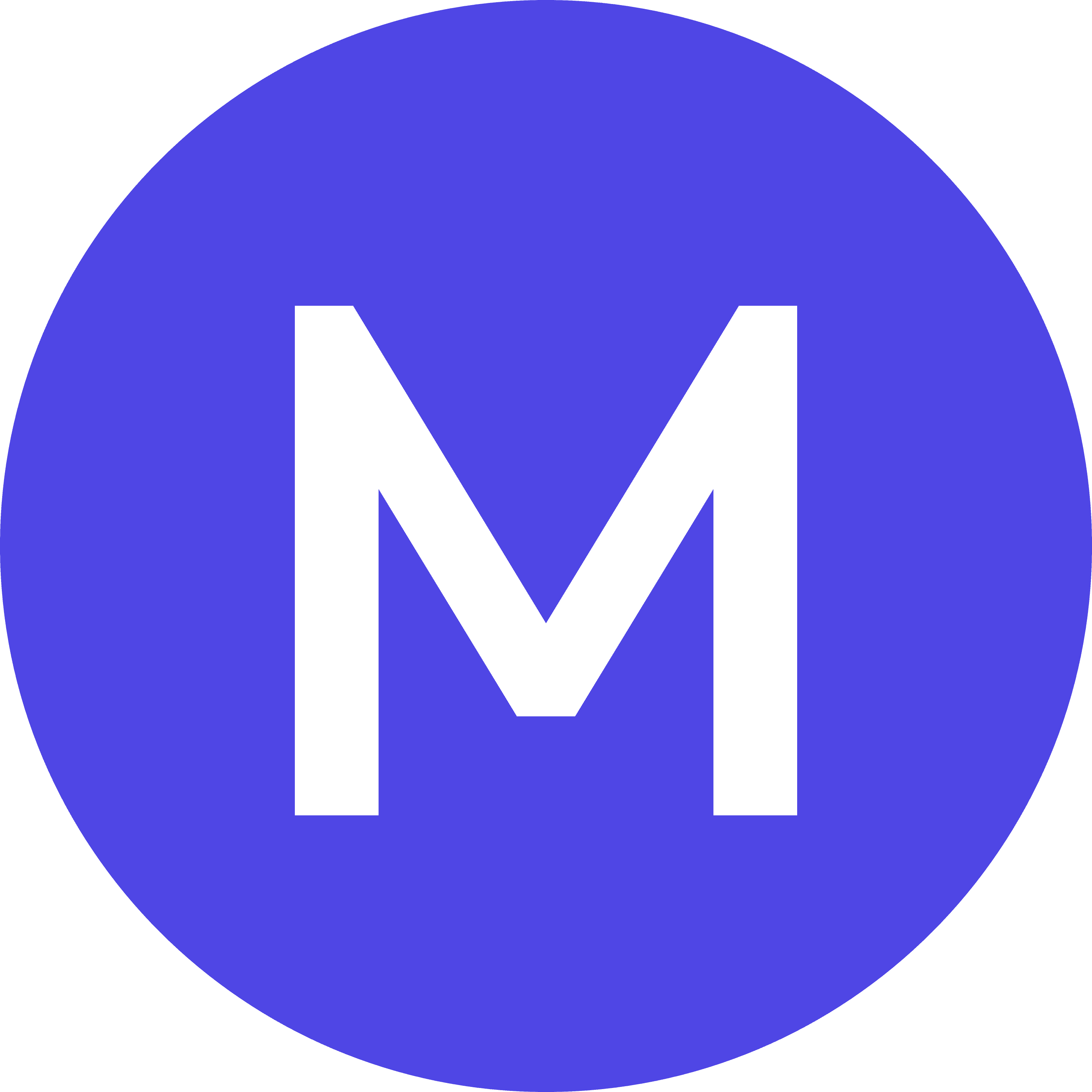 Madison AI图标