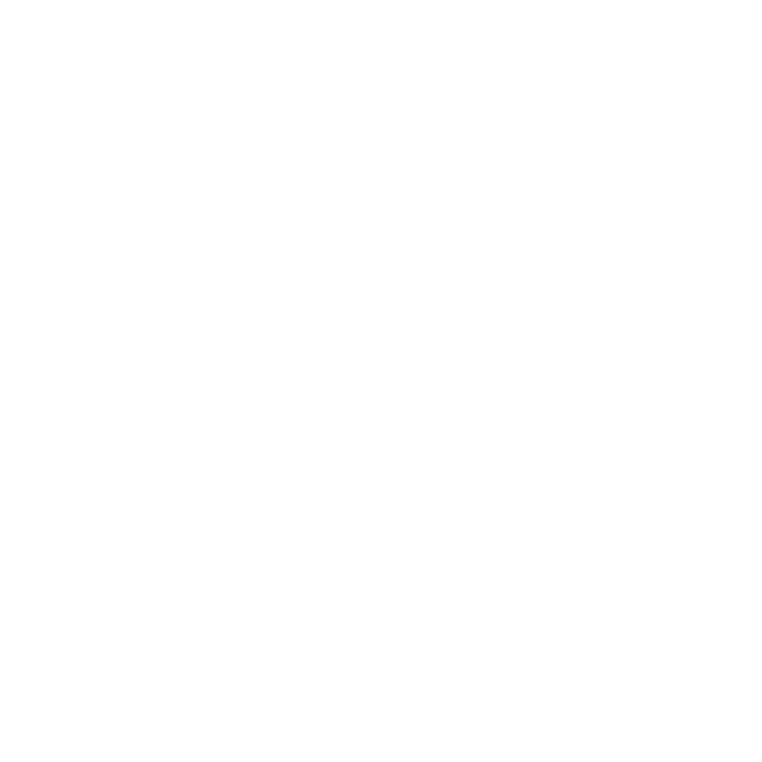 Nex AI图标
