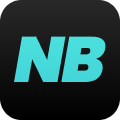 NicheBay图标