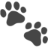 Pet Lens AI图标