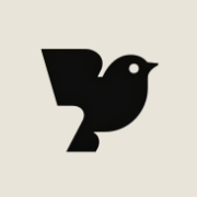 Robin AI图标