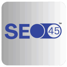 SEO45 AI图标