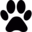 ShortVideoGen图标
