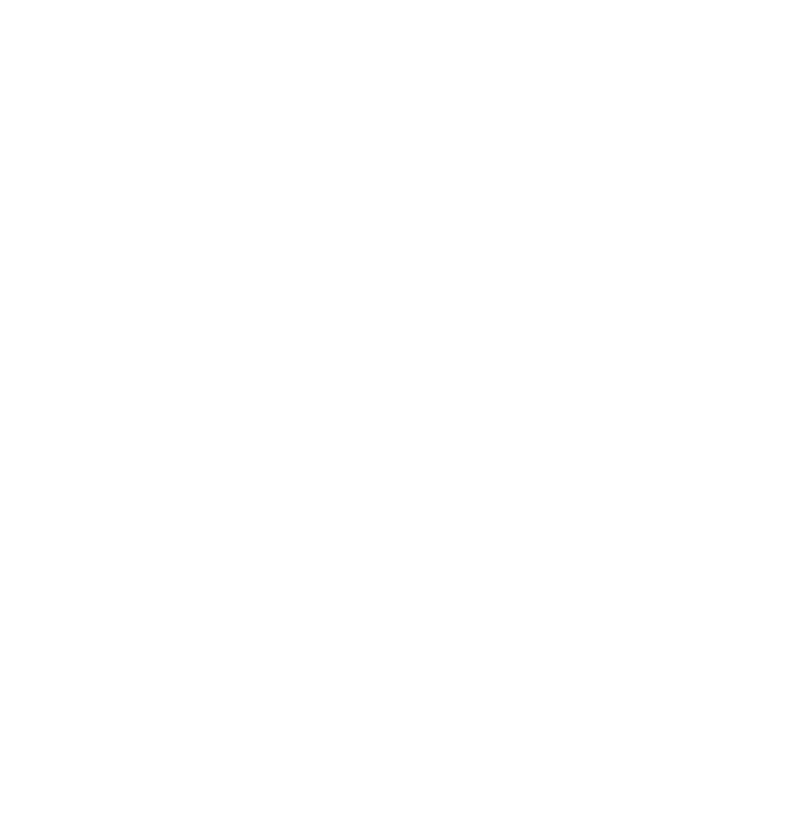 SmartBird图标