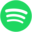 Spotify Wrapped AI Podcast图标