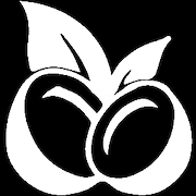 Coco AI图标
