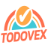 ToDoVex图标