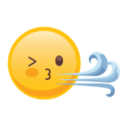 WindyFlo图标