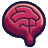 Zenquiz.app图标