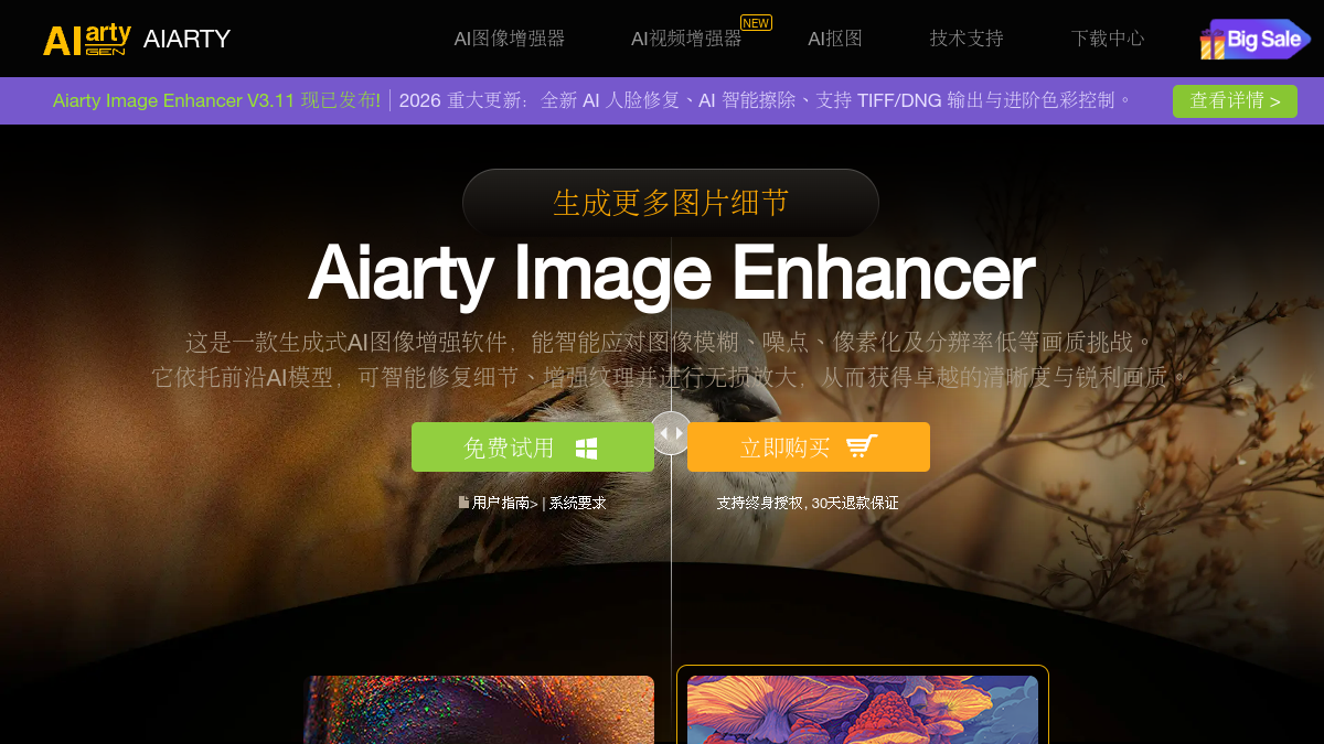 Aiarty Image Enhancer官网截图