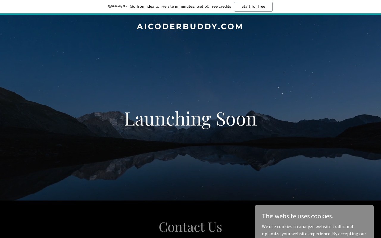 AI Coder Buddy官网截图