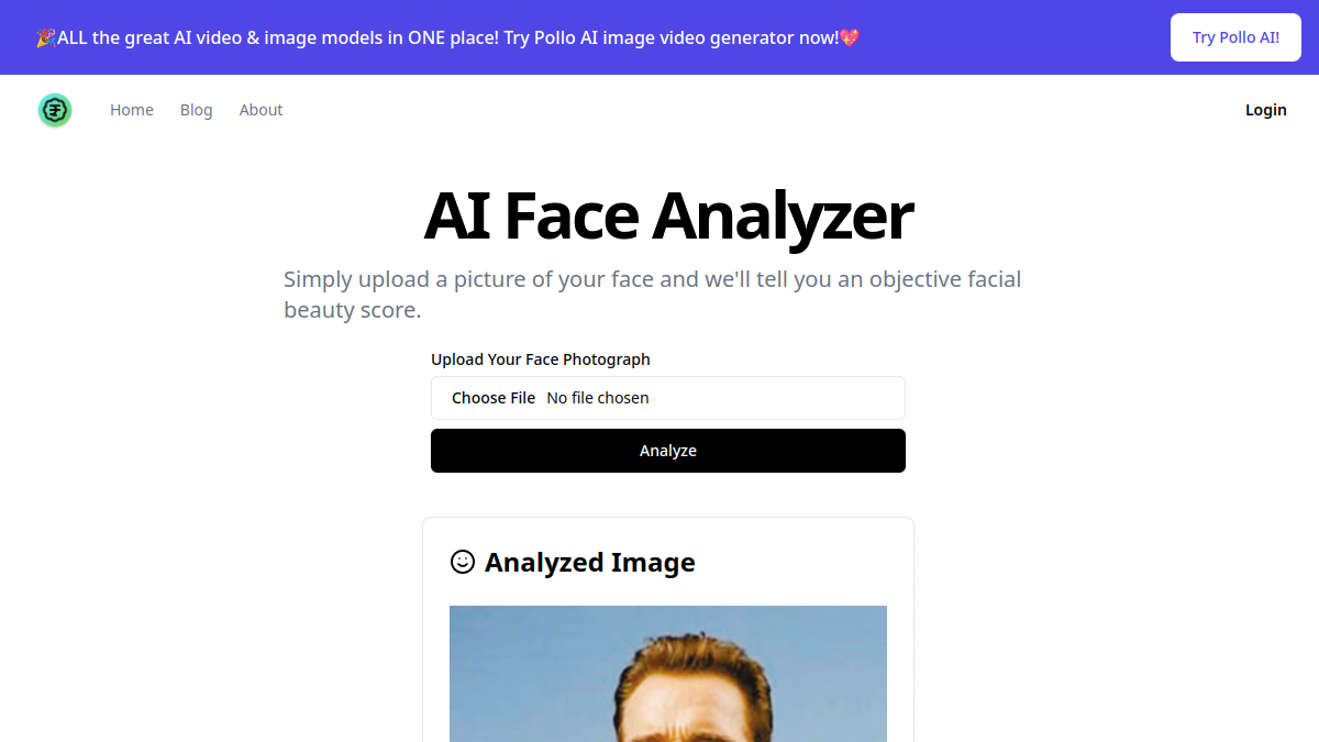 AI Face Analyzer官网截图