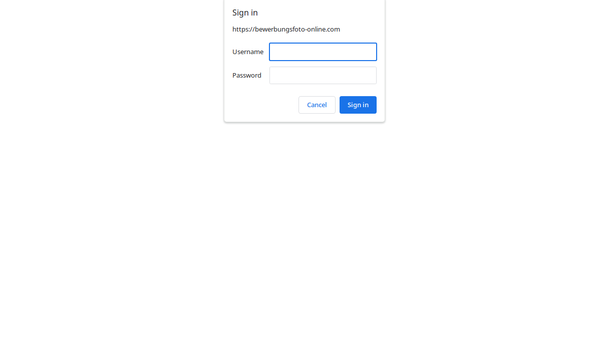 Professional AI Resume Picture Generator官网截图
