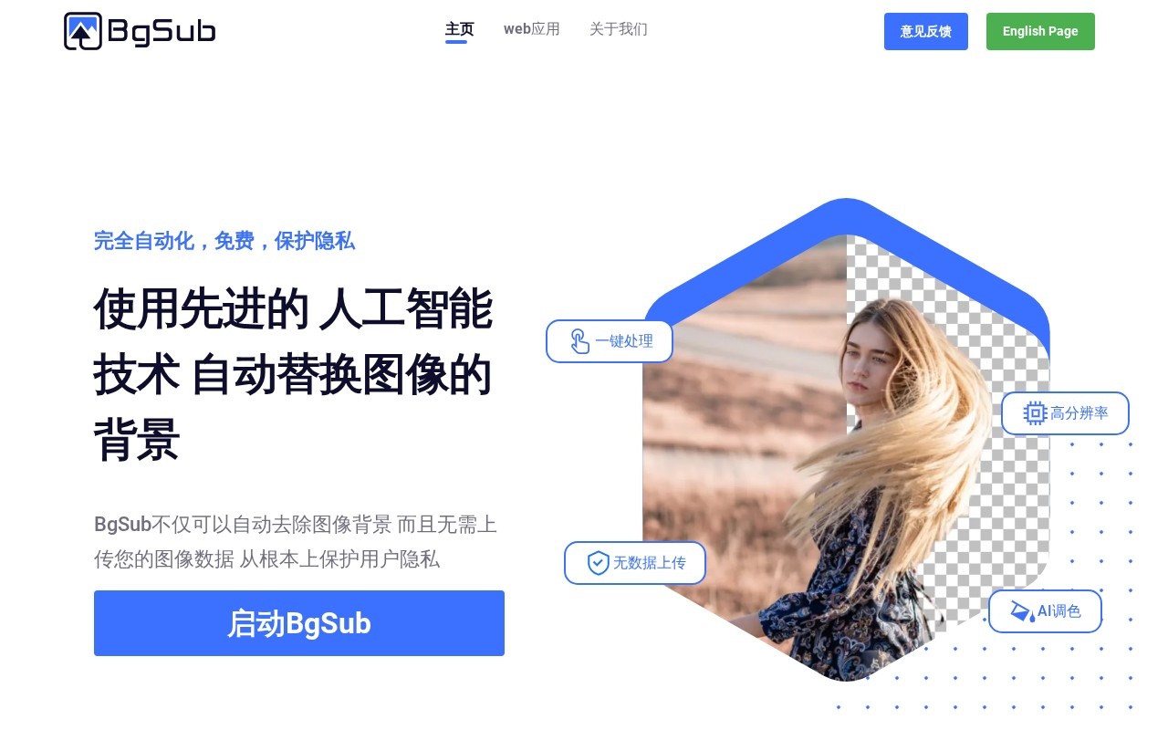 BgSub官网截图