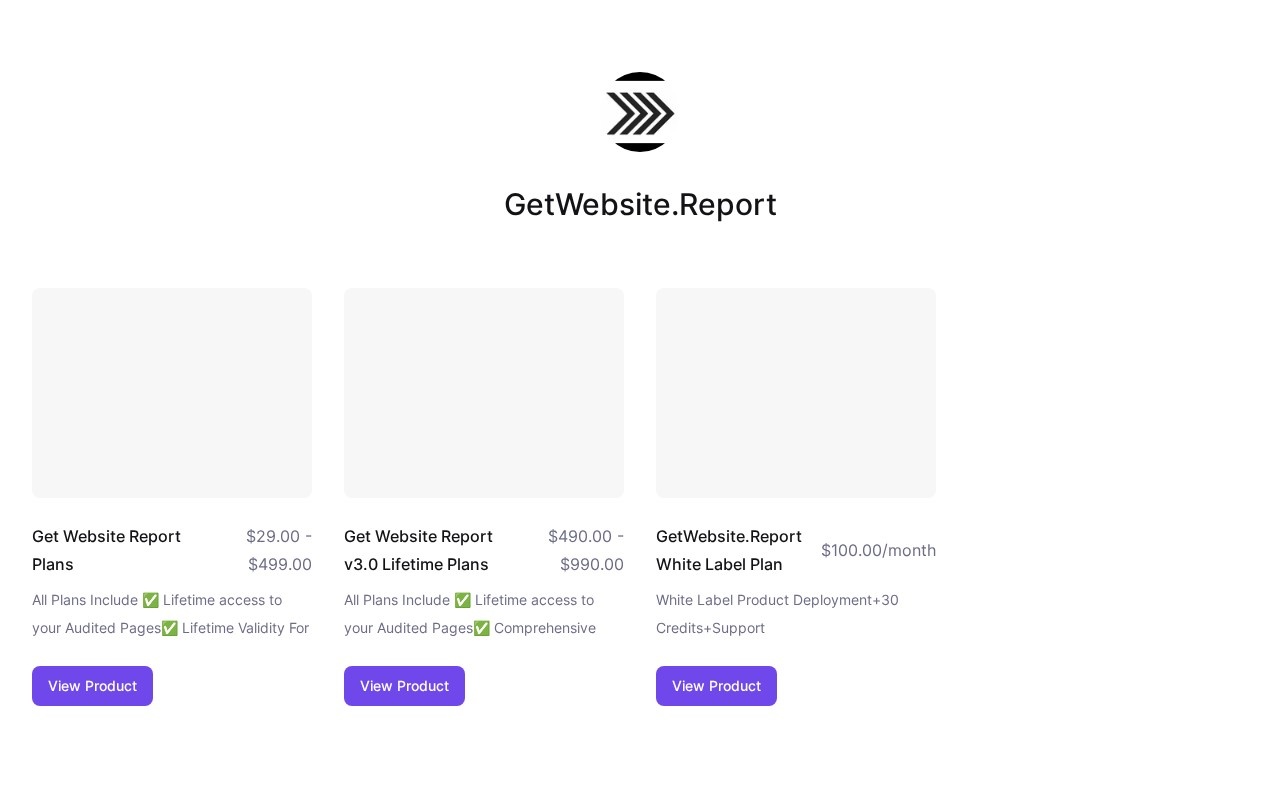 GetWebsite.Report官网截图