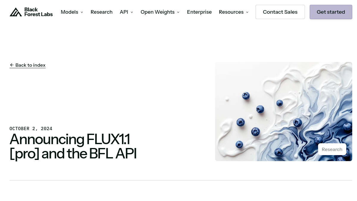 FLUX1.1 [pro]官网截图