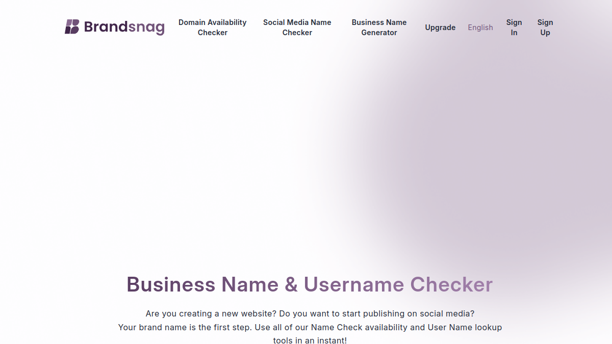 BrandSnag官网截图
