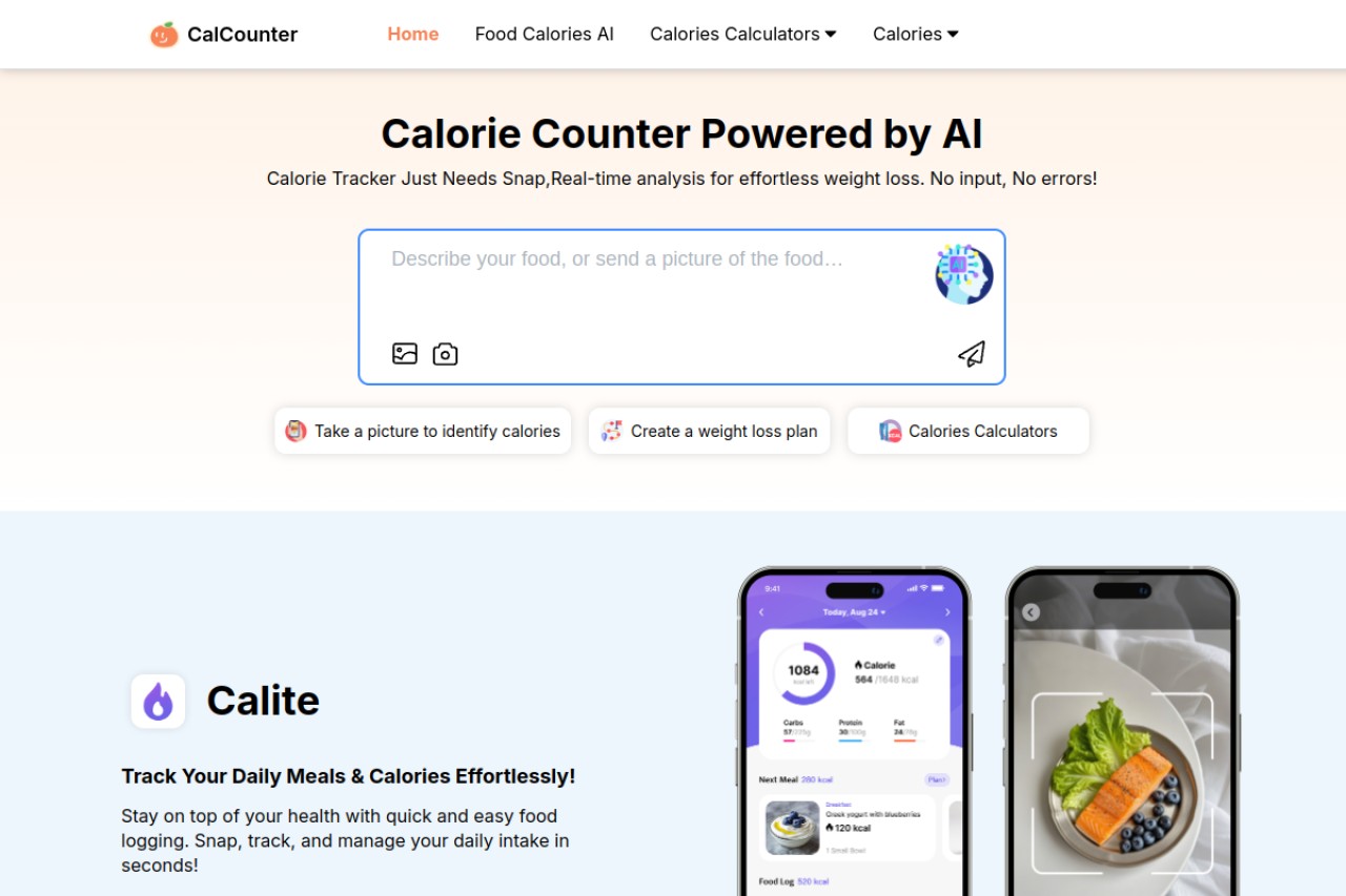 CalCounter官网截图