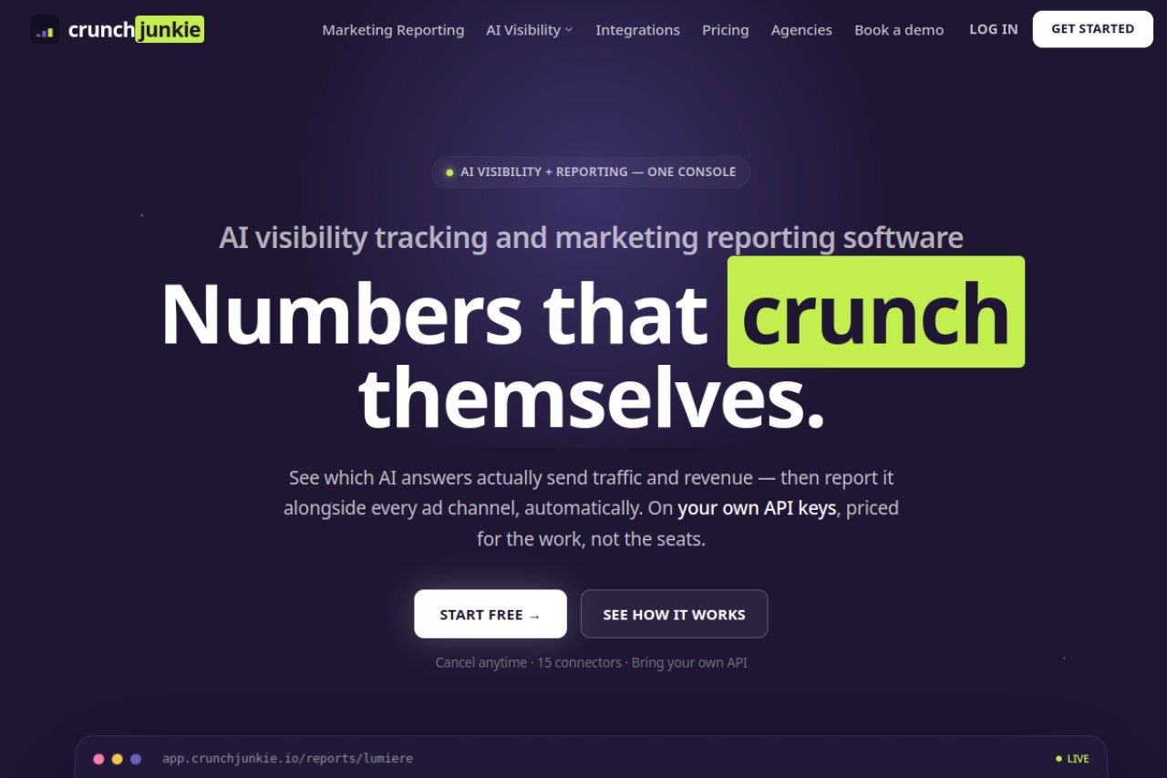 CrunchJunkie官网截图