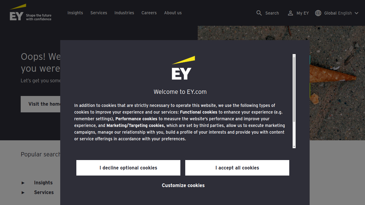 EY.ai官网截图