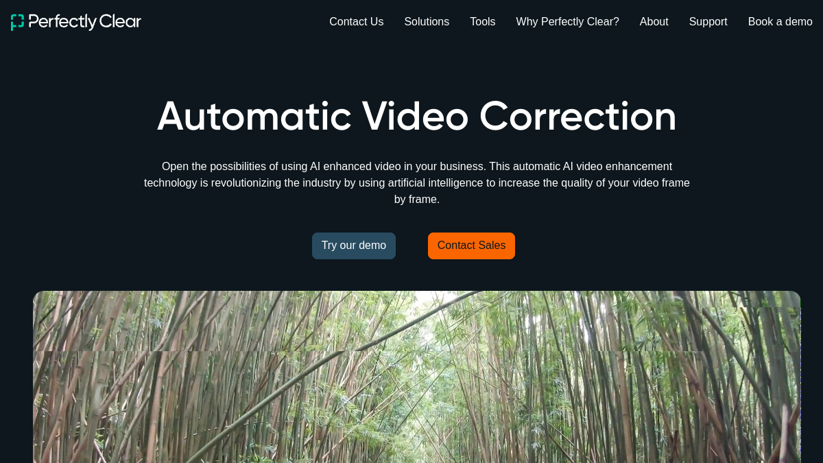 Perfectly Clear Video官网截图