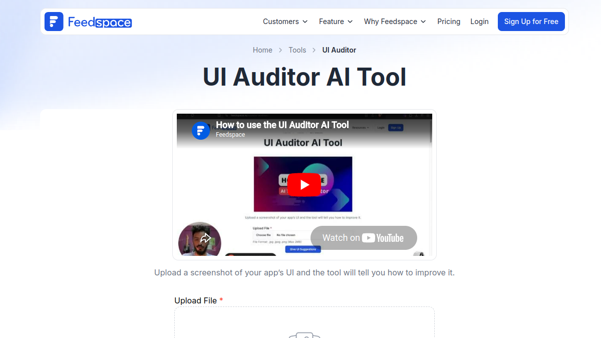 UI Auditor AI Tool官网截图