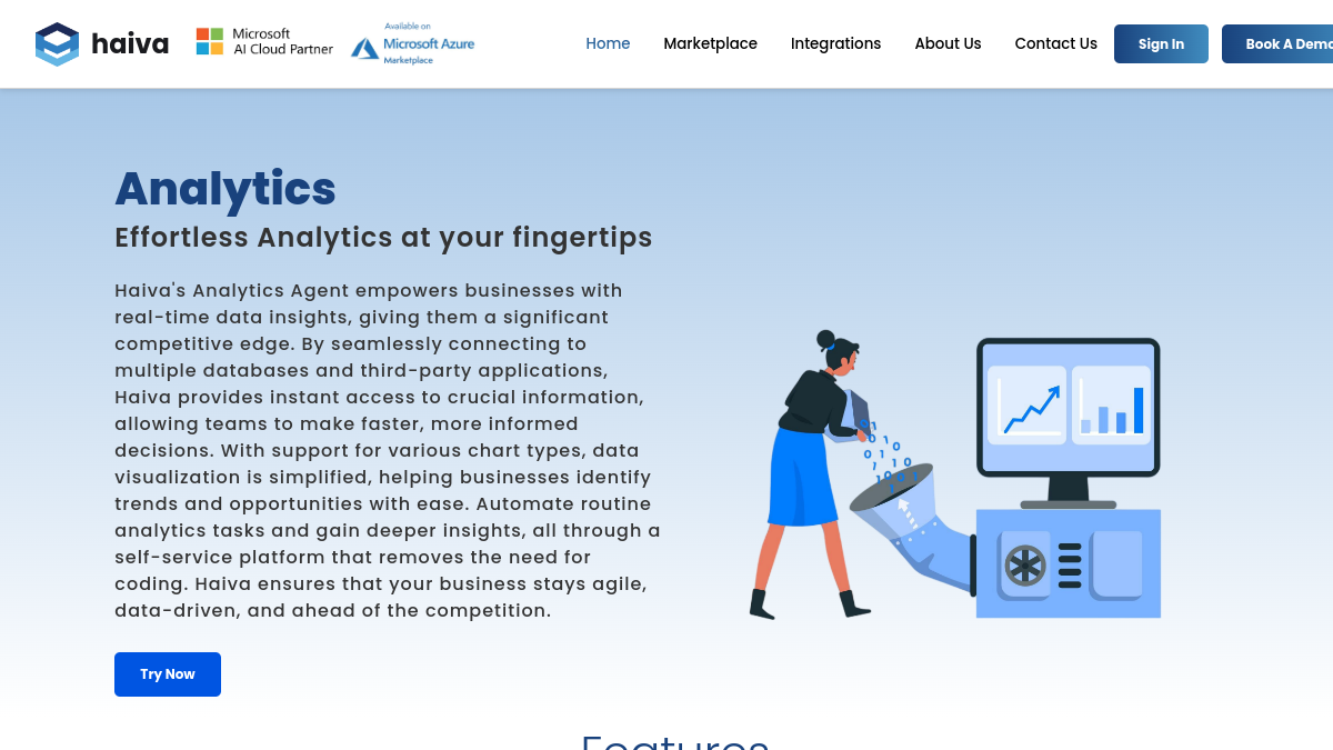 Haiva Analytics Agent官网截图
