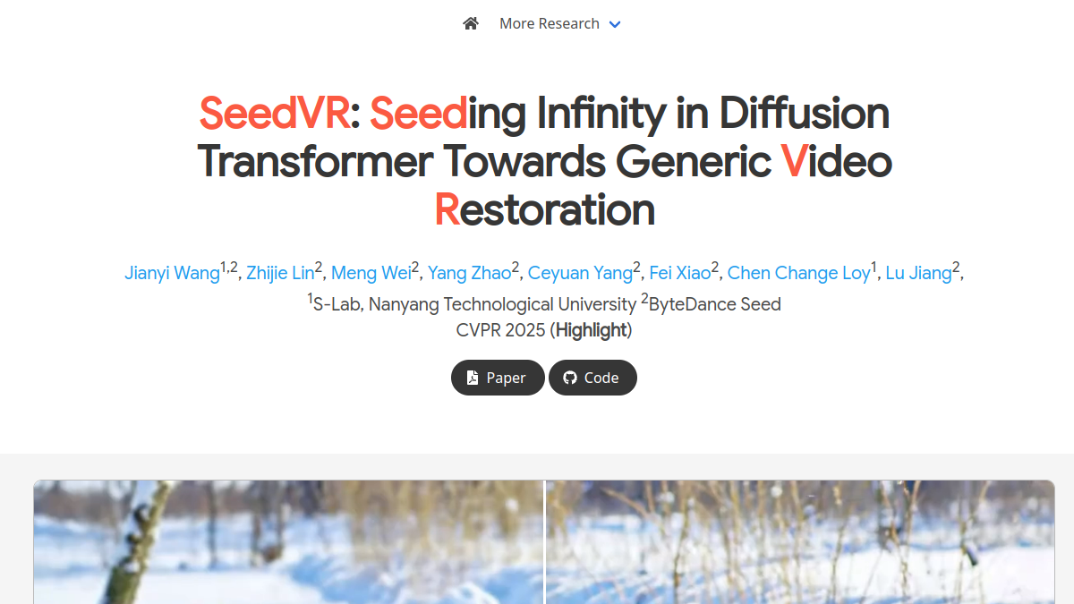 SeedVR官网截图