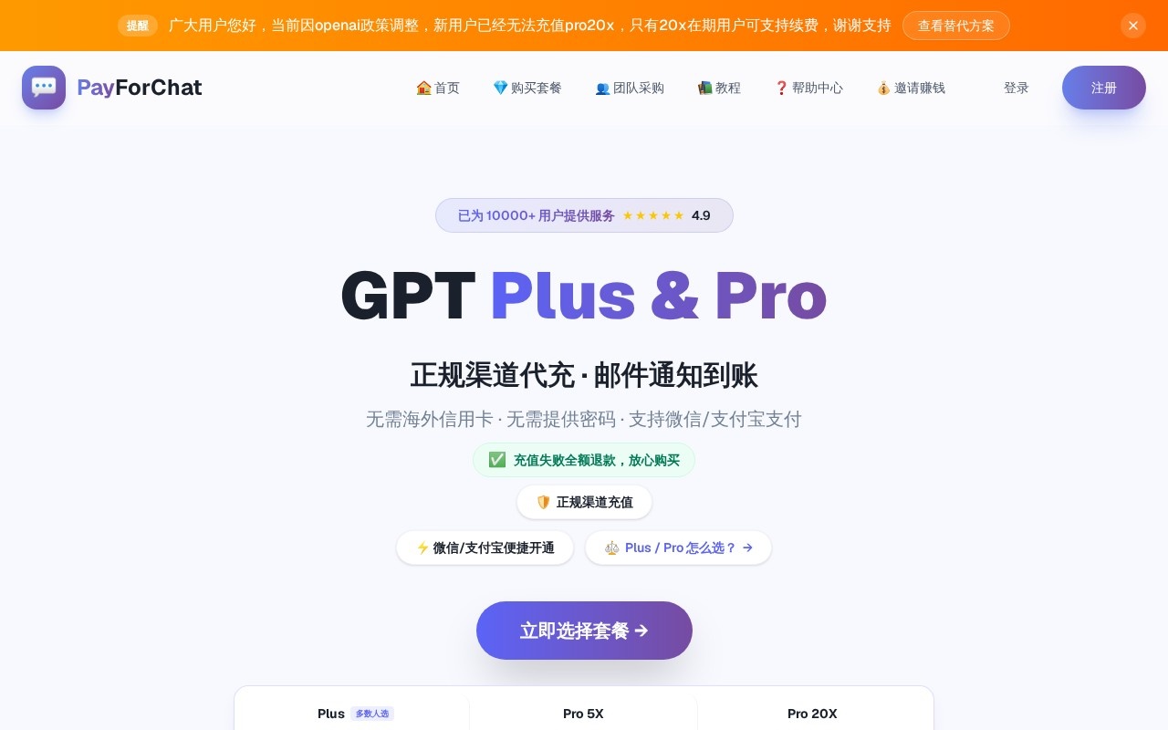 PayForChat官网截图