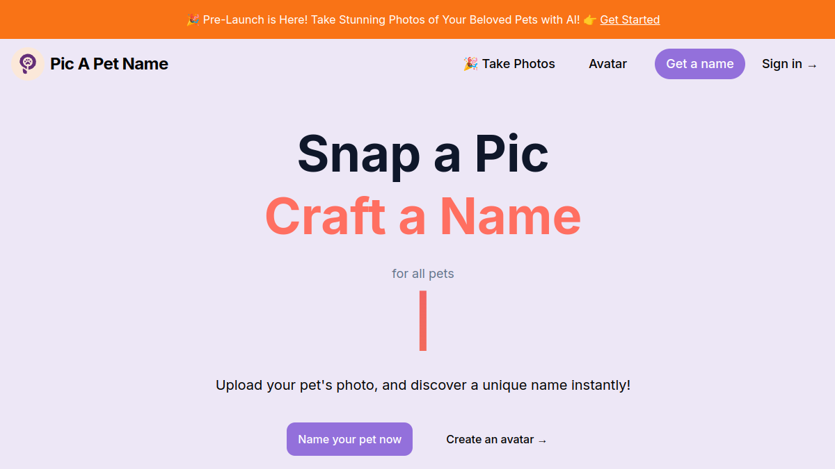 Pic A Pet Name官网截图