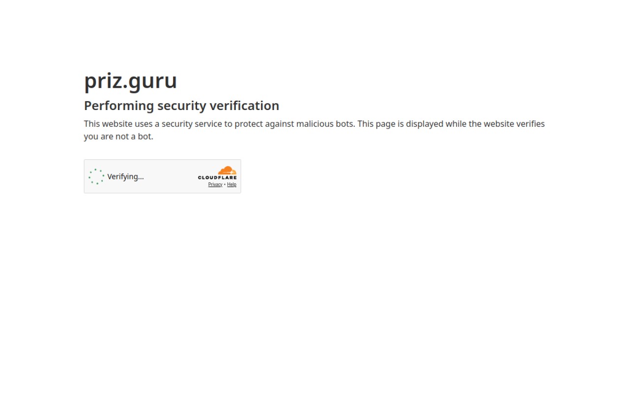 PRIZ Guru官网截图