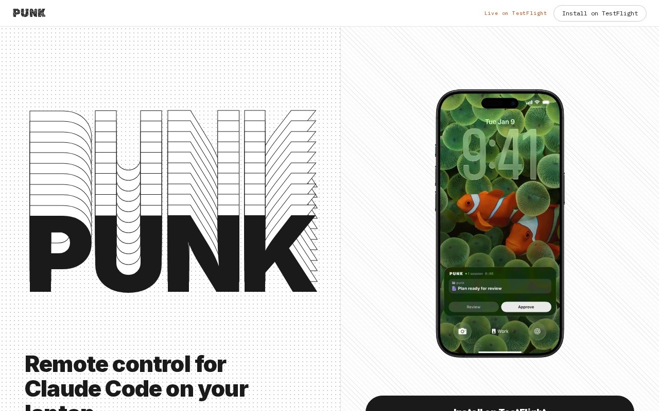 PUNK官网截图