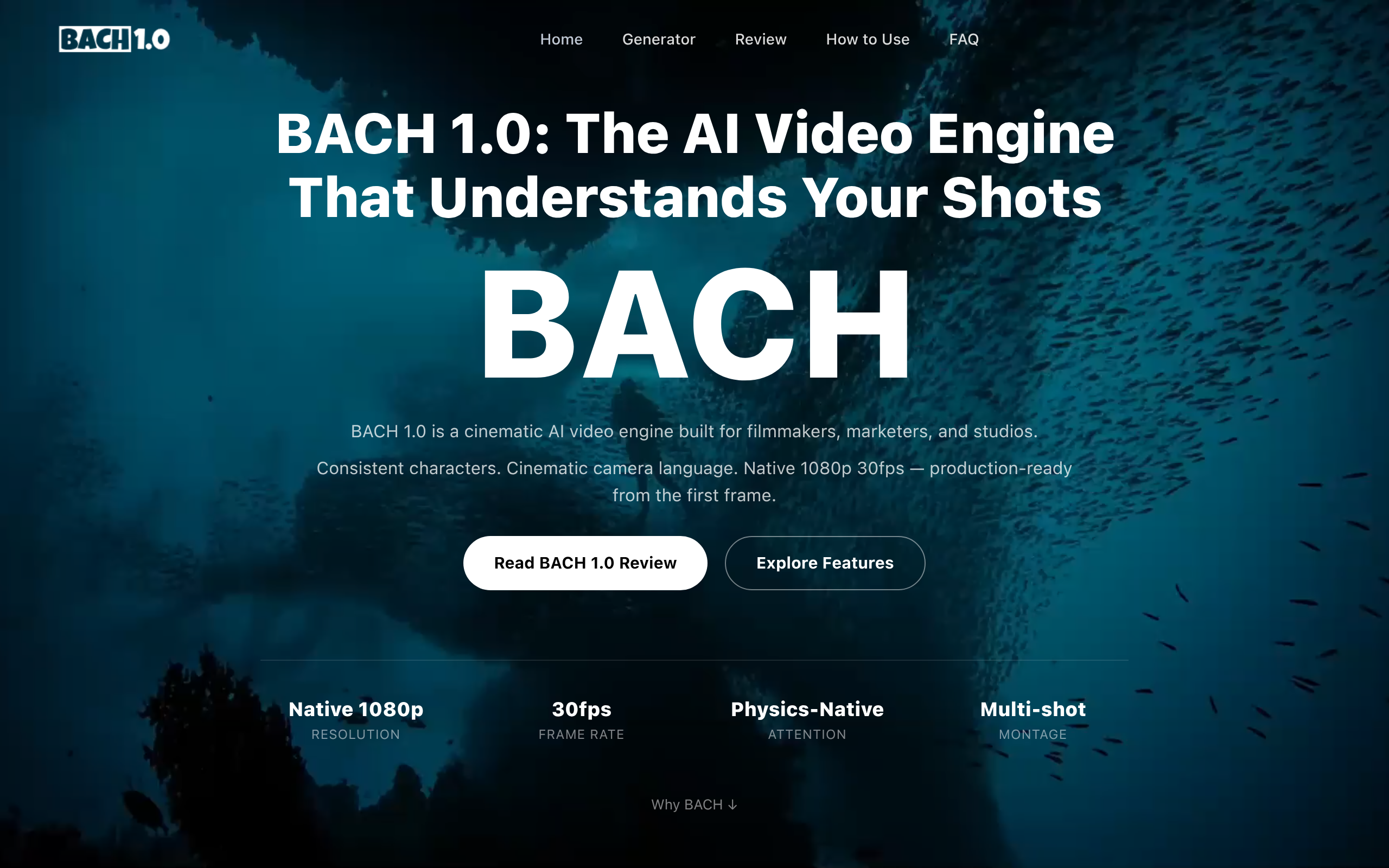 BACH 1.0官网截图