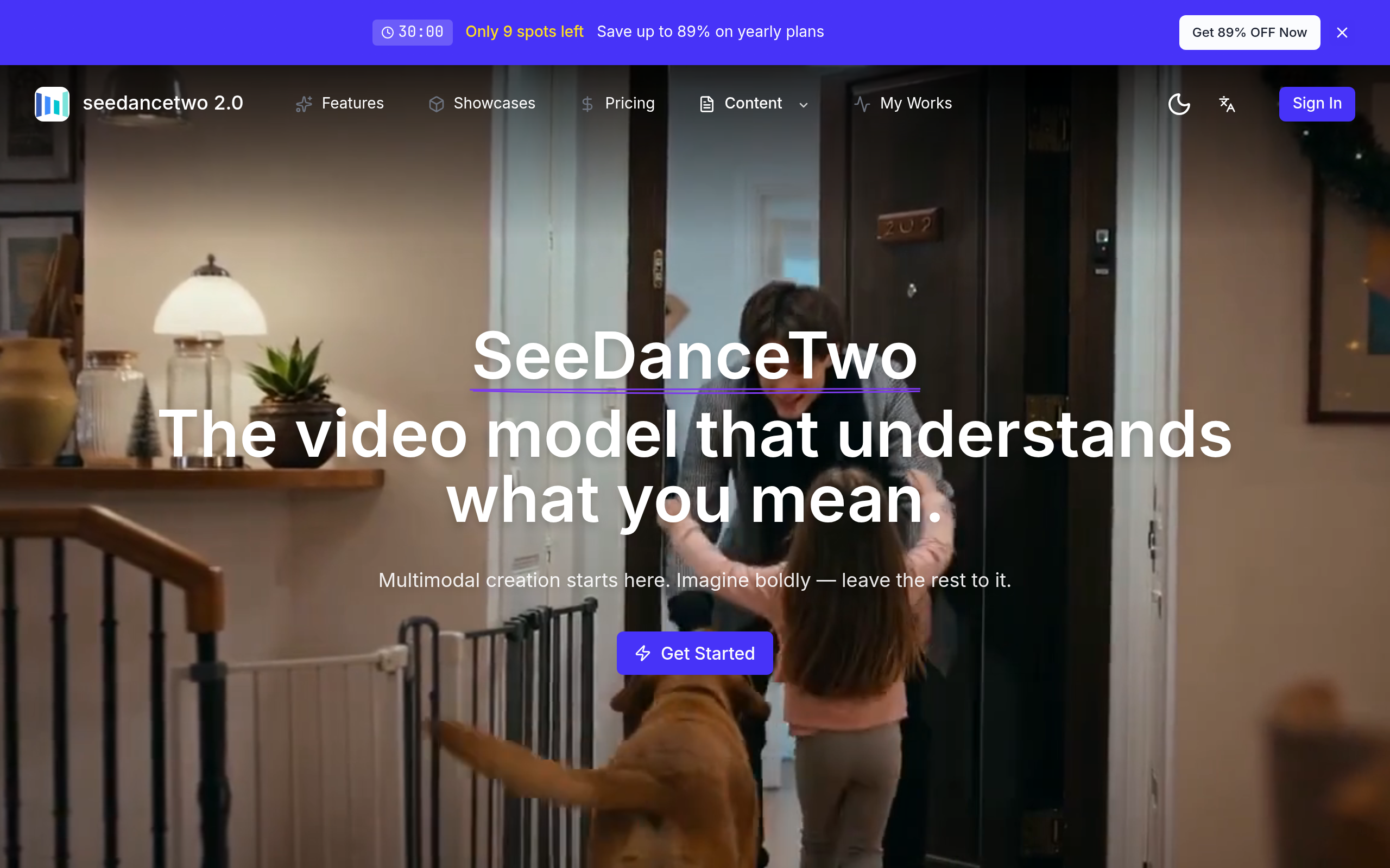 Seedance官网截图