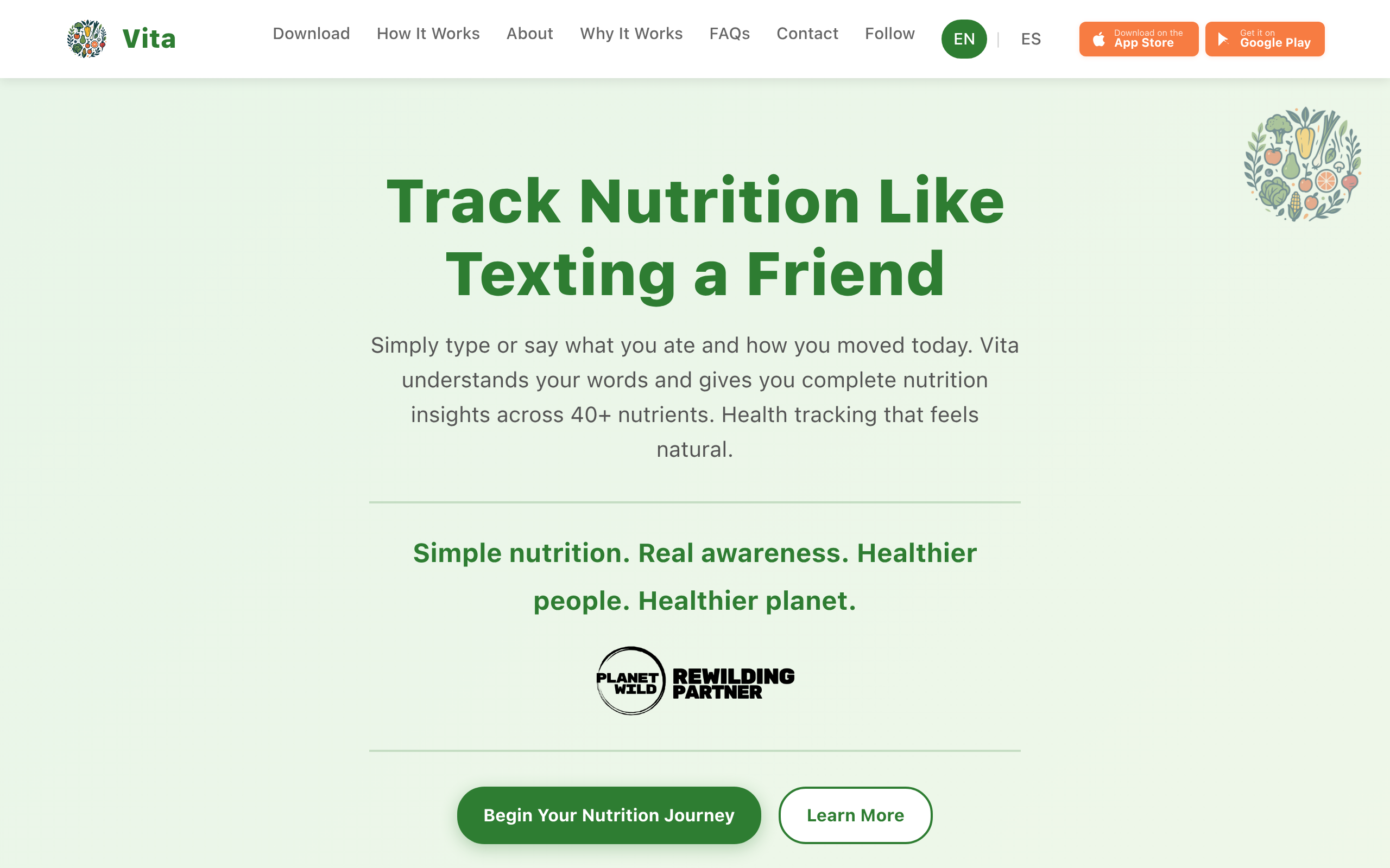 Vita Nutrition官网截图