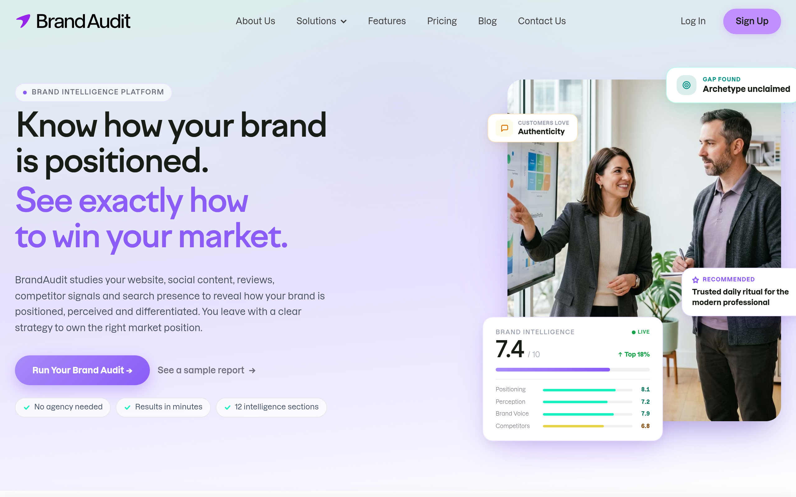 Brand Audit官网截图
