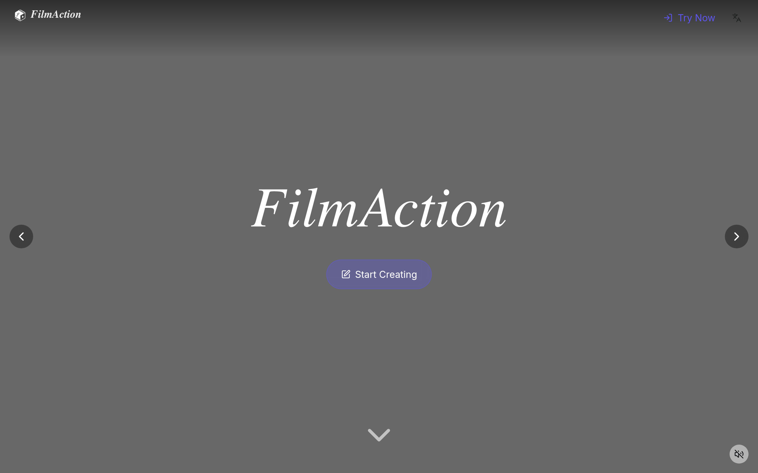 FilmAction官网截图