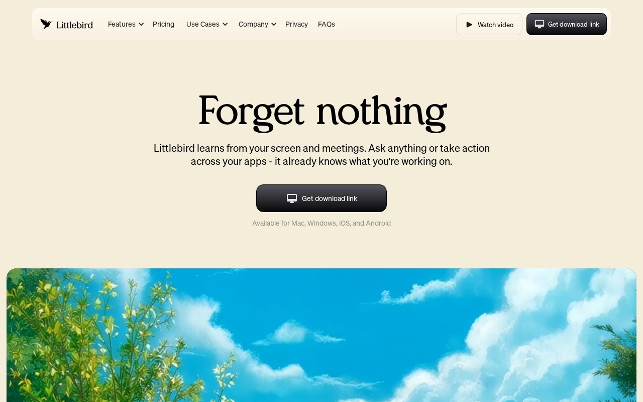Littlebird官网截图